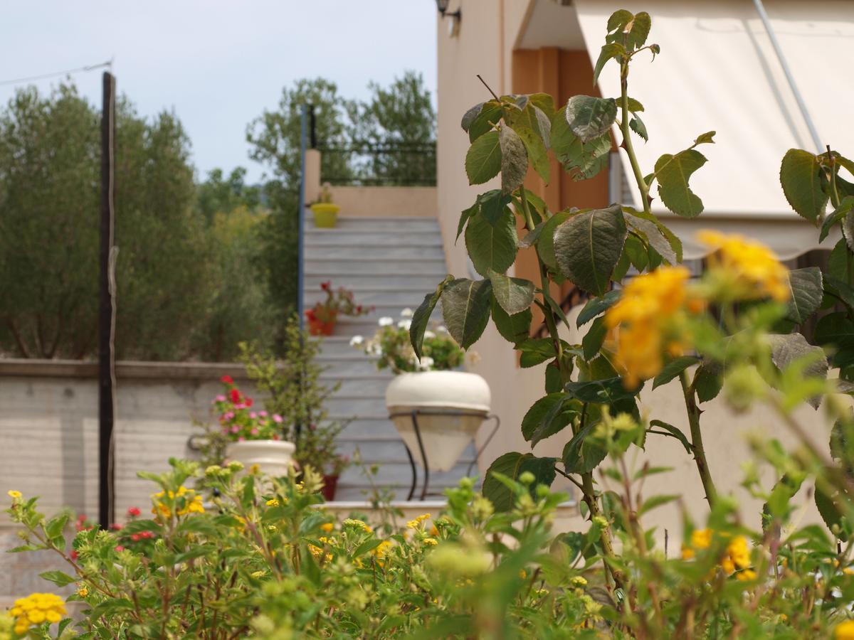 Aristotelis Apartments Razáta Værelse billede